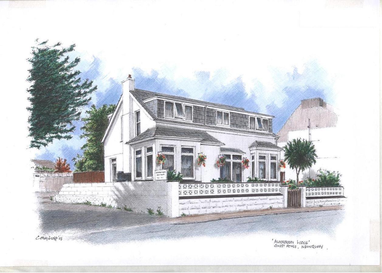 Alderberry Lodge New Quay Kültér fotó